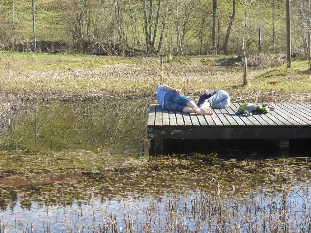 Zweisamkeit am Froschteich