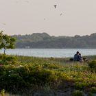 Zweisamkeit am Ostseestrand