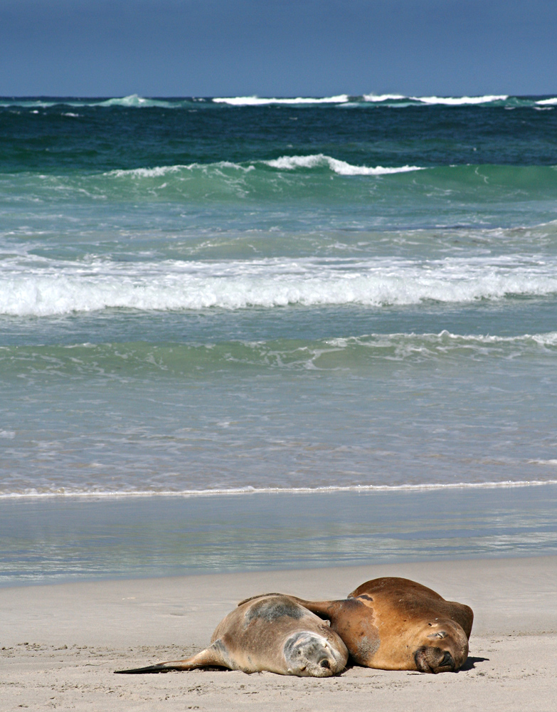 ...Zweisamkeit am Strand...