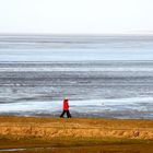 ZWEISAMKEIT AM WATTENMEER BEI PAESENS-MODDERGATT