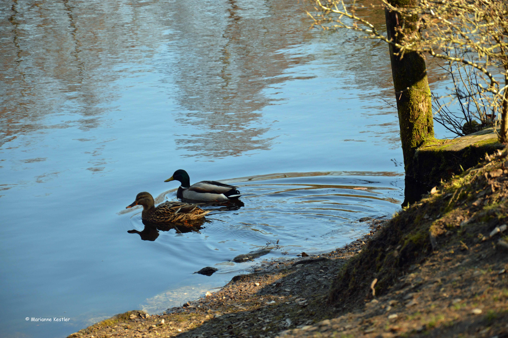 Zweisamkeit am Weiher