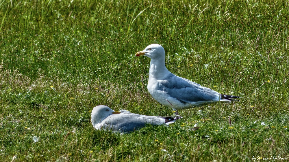 Zweisamkeit