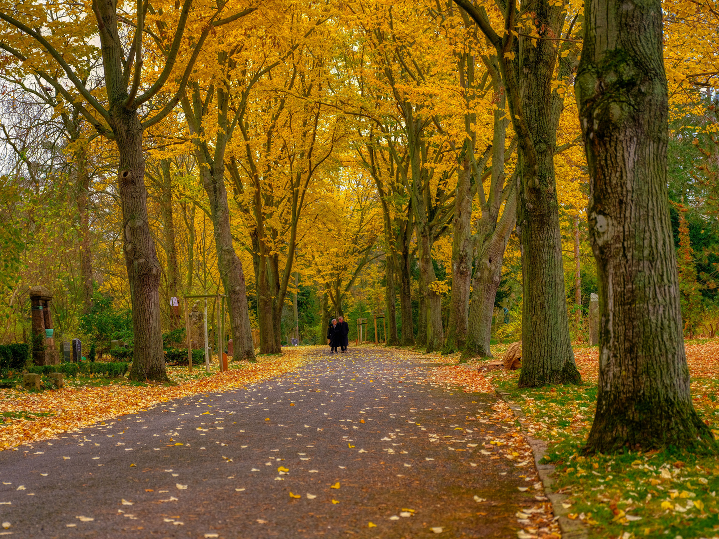 Zweisamkeit im Herbst des Lebens