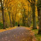 Zweisamkeit im Herbst des Lebens