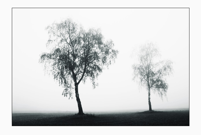 Zweisamkeit im Nebel