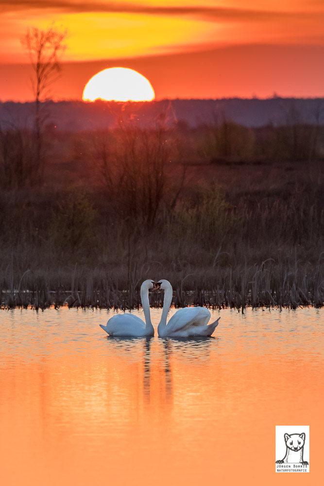 Zweisamkeit im Sonnenuntergang