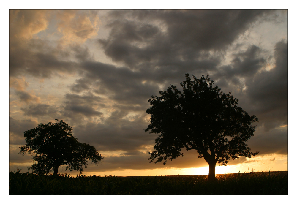 Zweisamkeit unter dem Abendhimmel