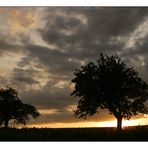 Zweisamkeit unter dem Abendhimmel