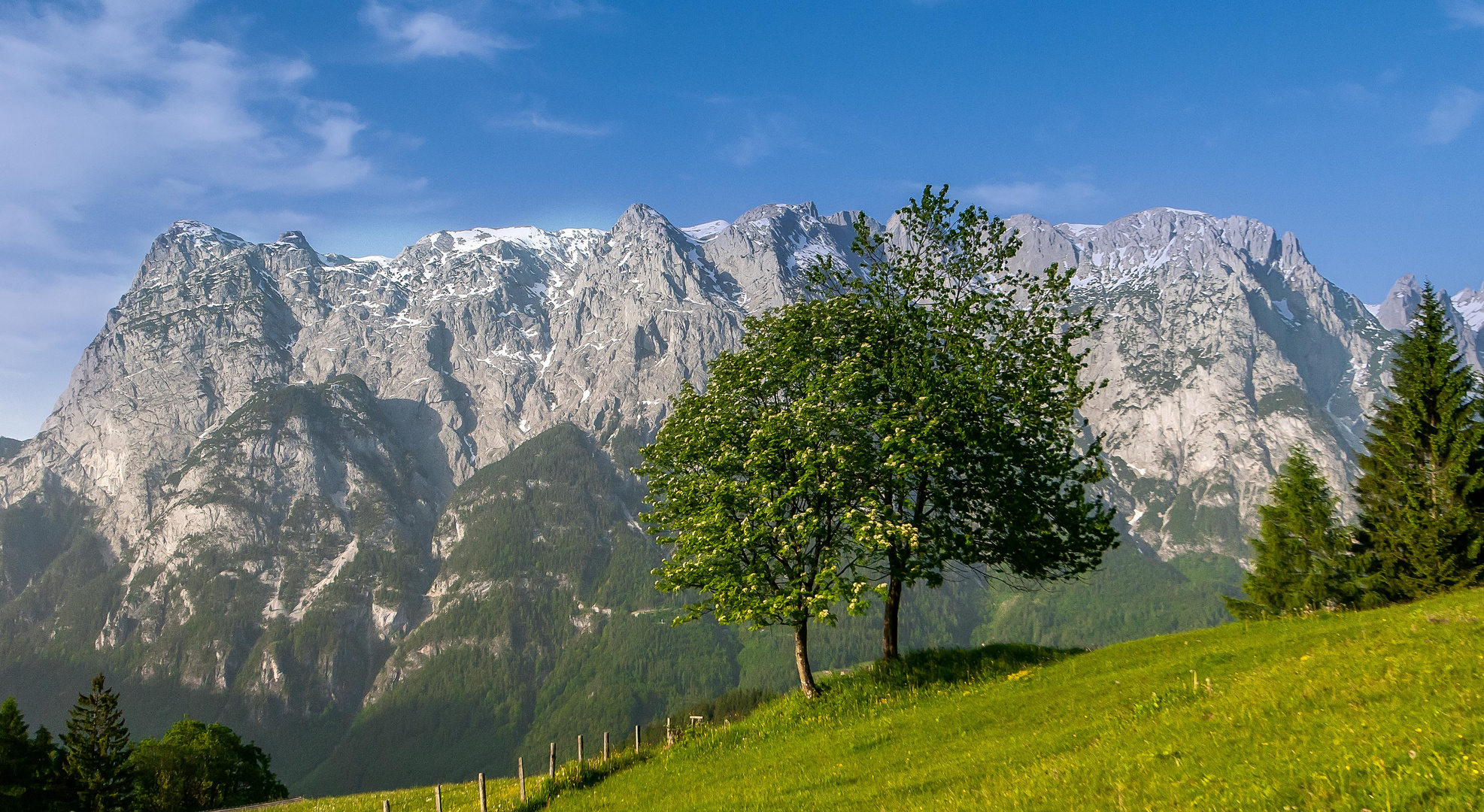 Zweisamkeit vor dem Tennengebirge