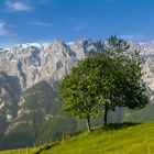 Zweisamkeit vor dem Tennengebirge