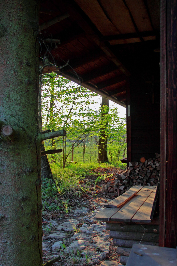 Zweit-Wohn-Sitz im Wald