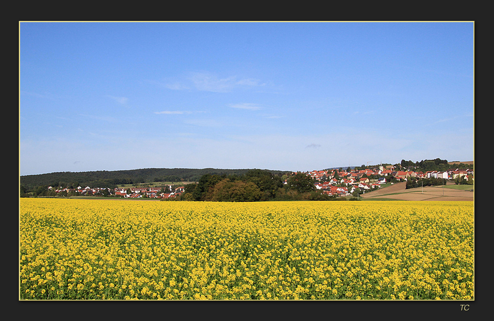 ZWEITE RAPSBLÜTE ?