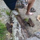 zweite Rast am Sparchenbach mit unserem neuen Holzspalter