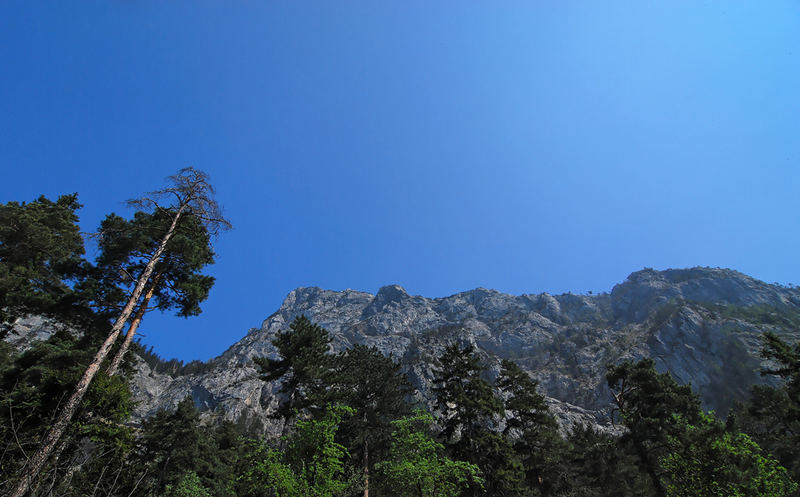 Zweiter Blick auf den Traunstein