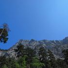 Zweiter Blick auf den Traunstein