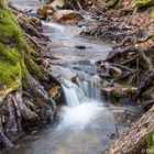 Zweiter Kirdorfer Wasserfall