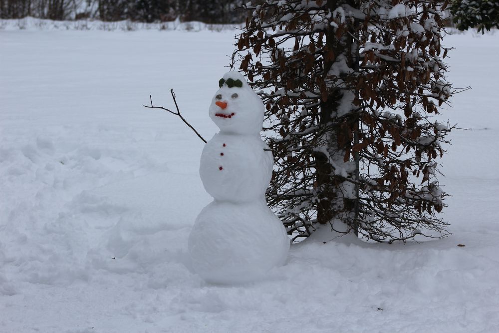 Zweiter Schneemann 2017