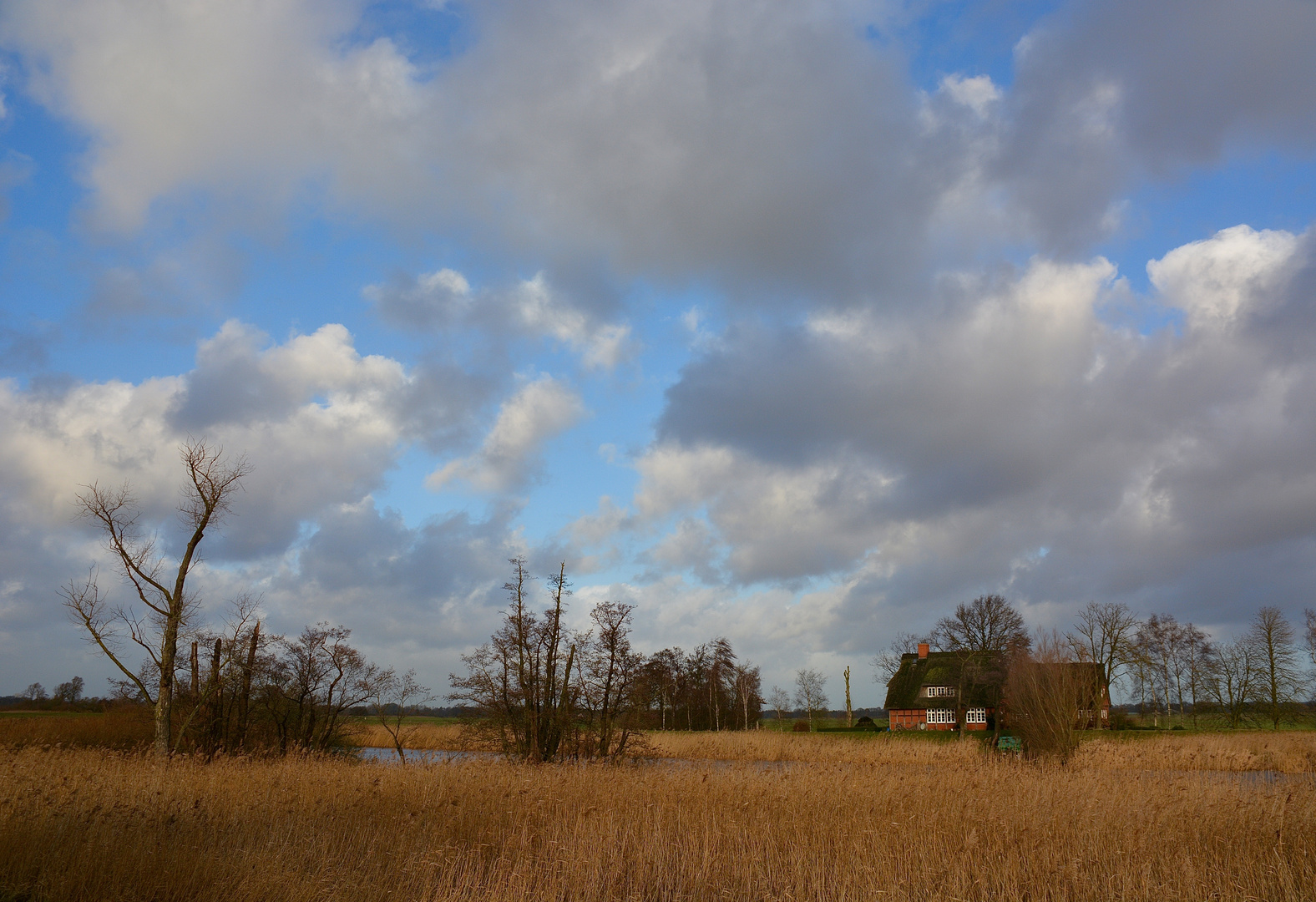 Zweiter Weihnachtstag - Windstärke 8