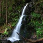 Zweribach-Wasserfall im Schwarzwald