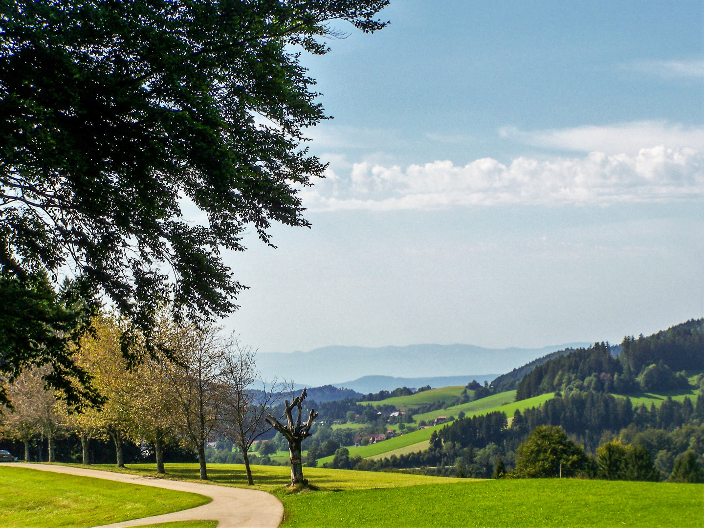 Zwerisberg bei St. Märgen 