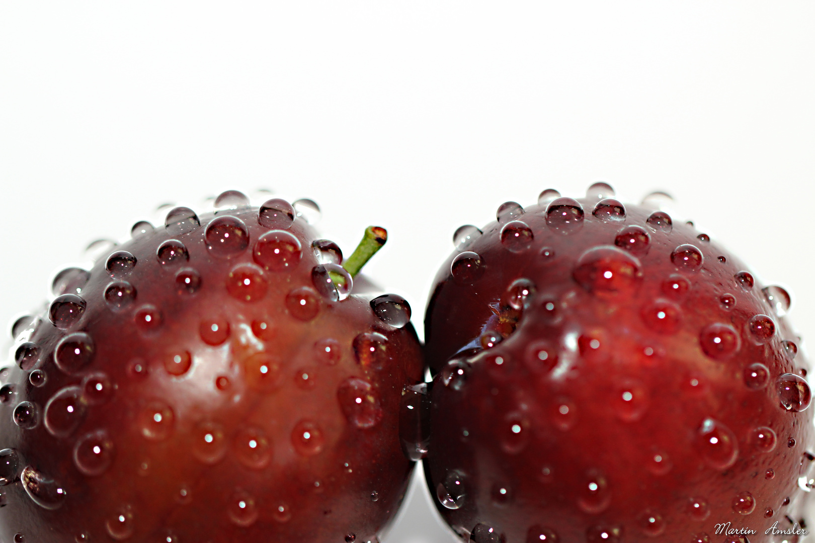 Zwetschgen Foto &amp; Bild | archiv projekte naturchannel, naturprojekte ...