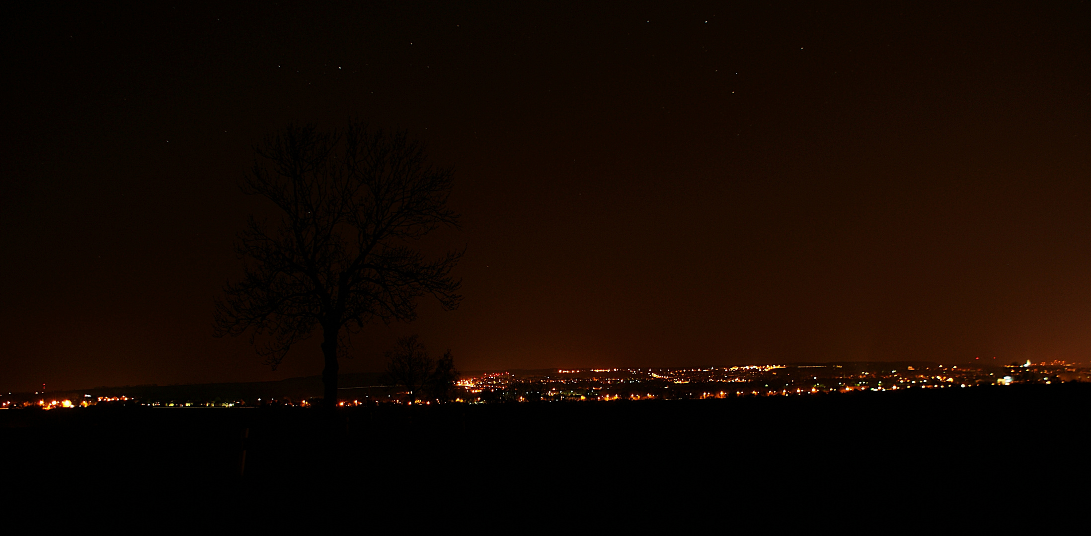 Zwickau bei Nacht