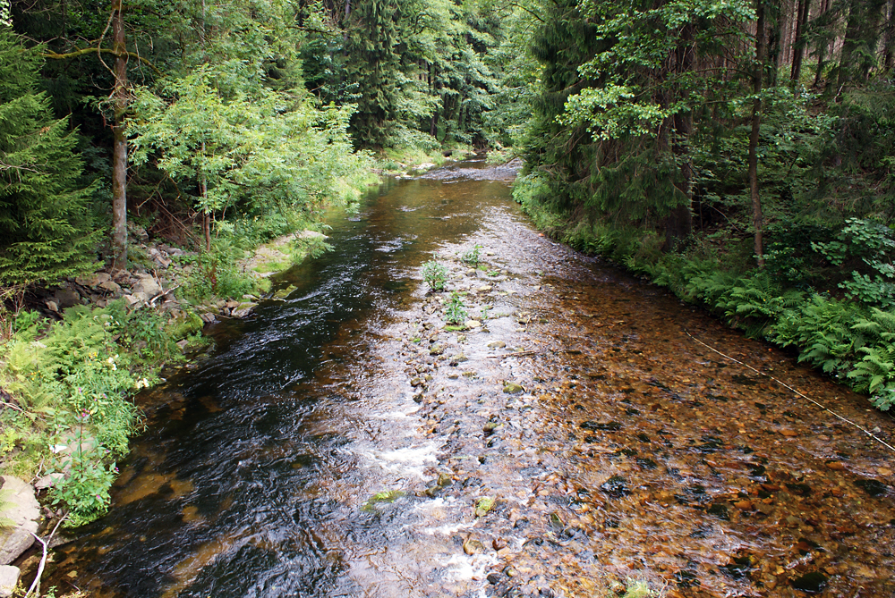 Zwickauer Mulde