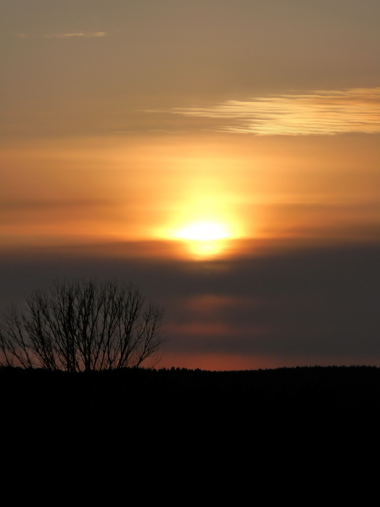 Zwickaus Sonnenuntergänge