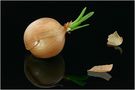-Zwiebel - von Andreas Sprissler