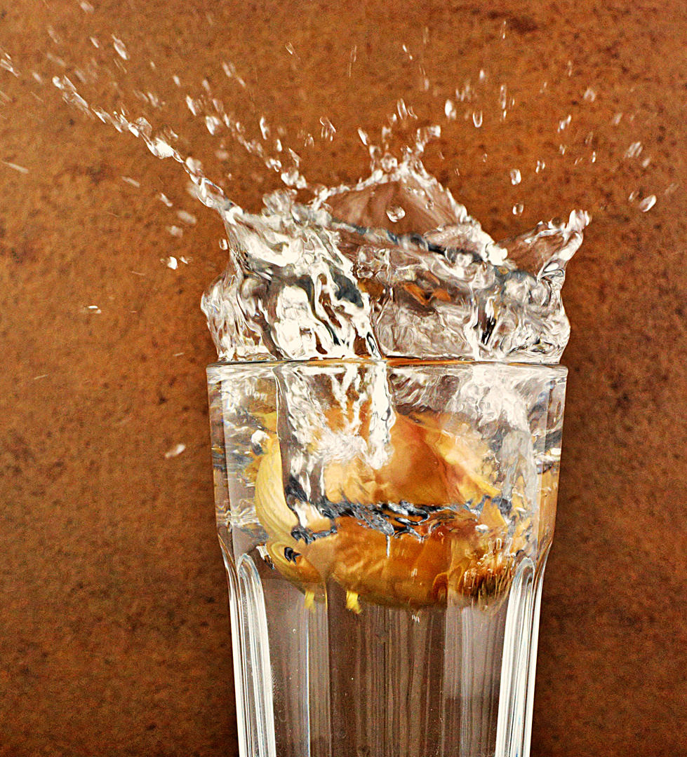 Zwiebel fällt ins Wasserglas