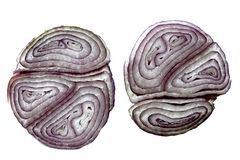 Zwiebel ohne Bearbeitung