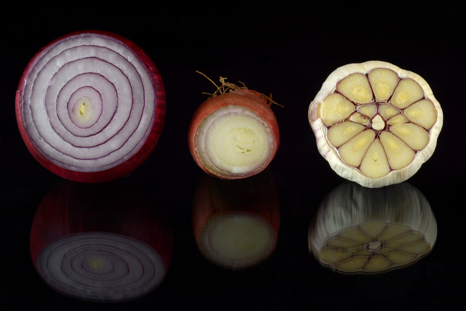 Zwiebel rot - Schallotte - Knoblauch