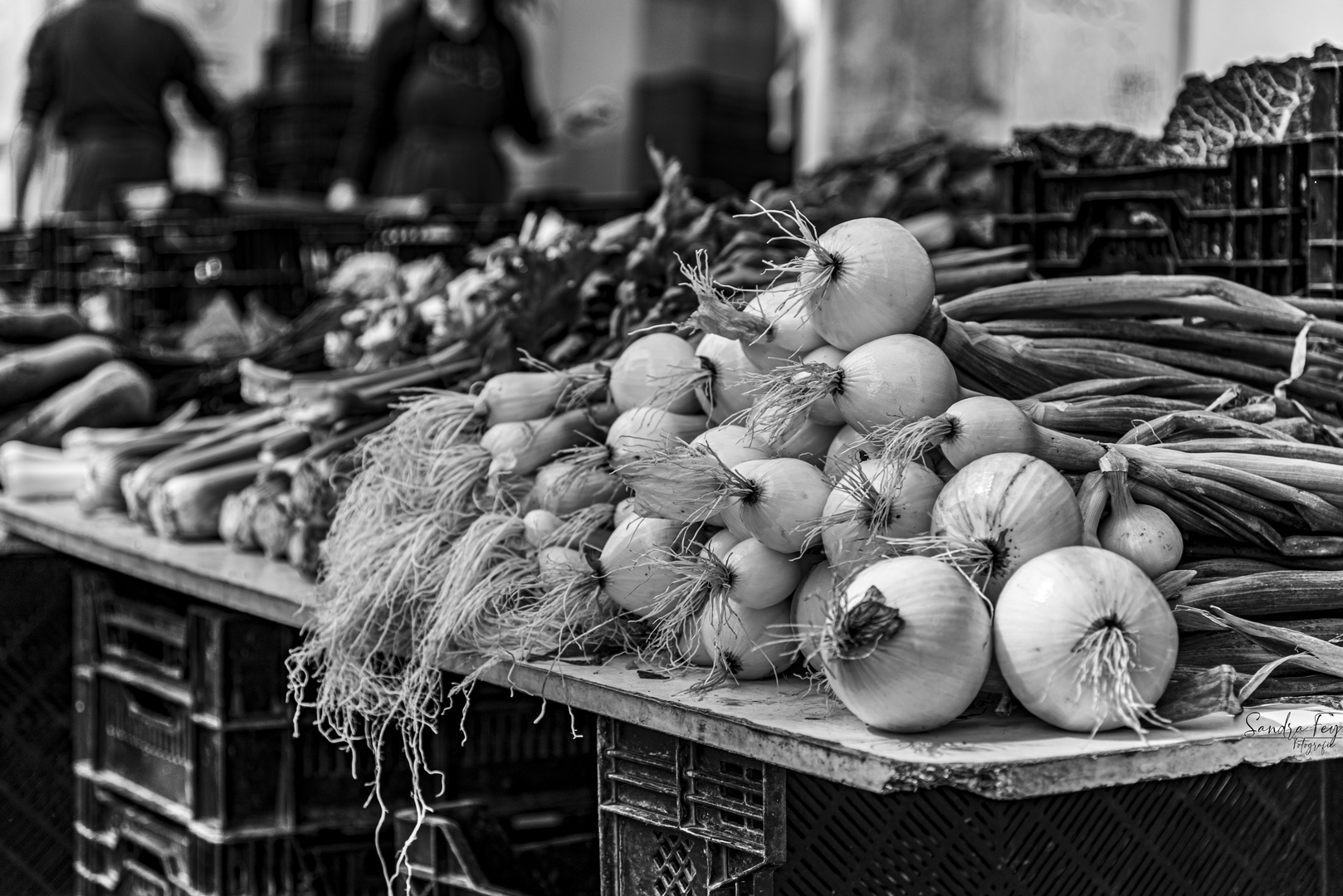 Zwiebeln auf dem Markt