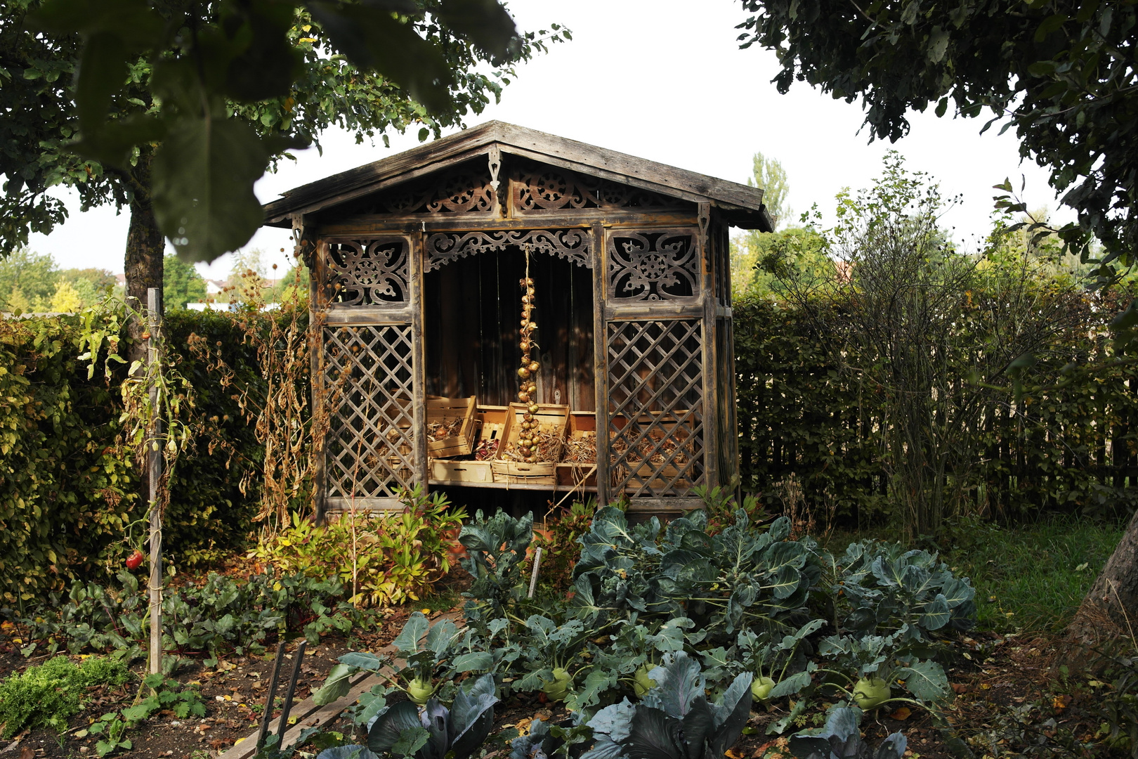 Zwiebelpavillon im Bauerngarten