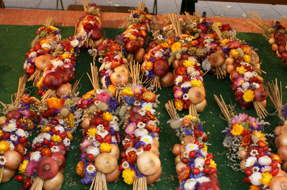 Zwiebelzöpfe auf dem Weimaer Zwiebelmarkt