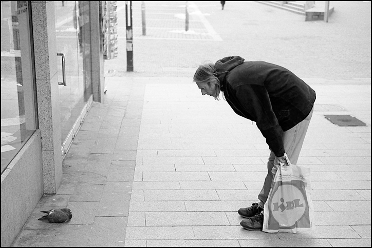 Zwiegepräch mit einer Taube - Stuttgart 2009