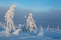 Zwiegespräch der frostigen Trolle