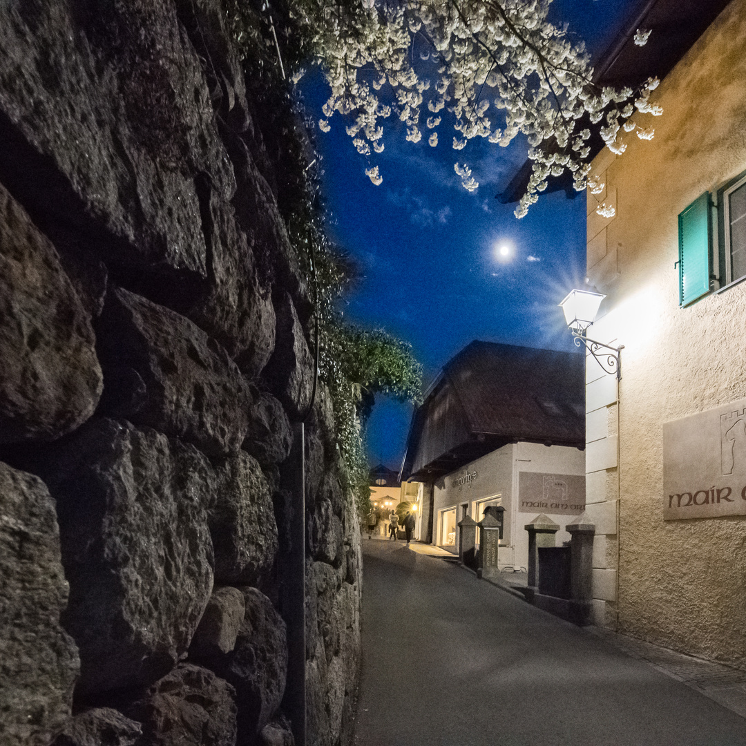 Zwiegespräch von Laterne und Mond