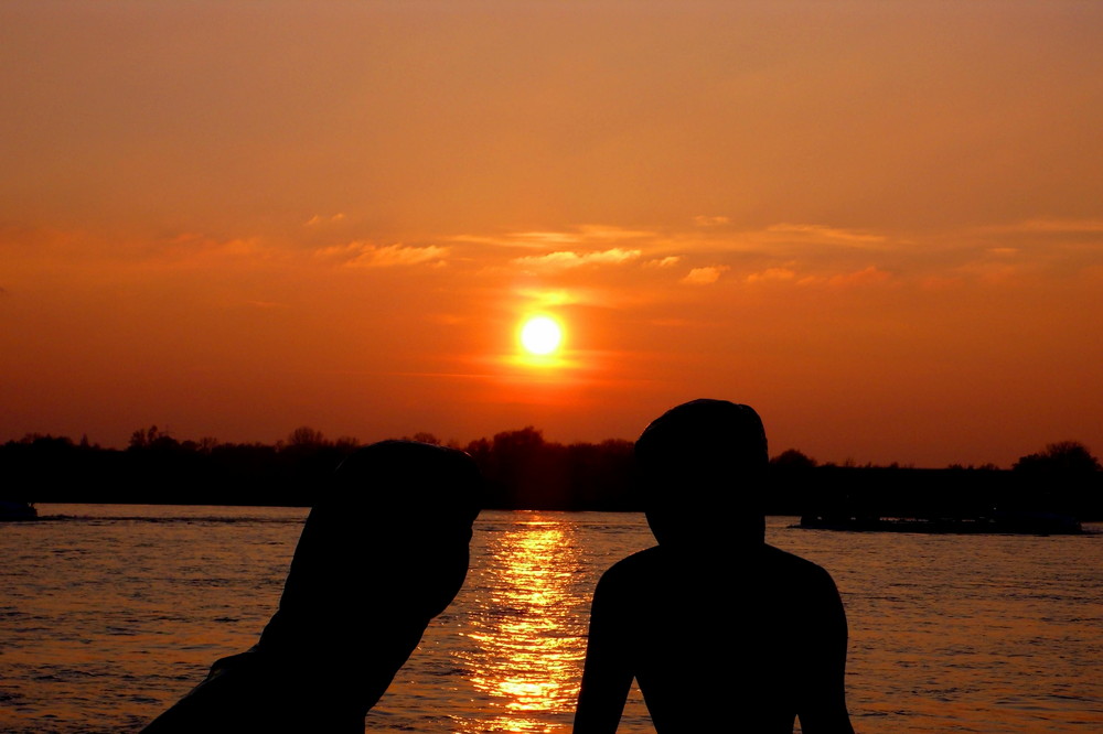 "Zwiegespräch" während des Sonnenuntergangs am Rhein