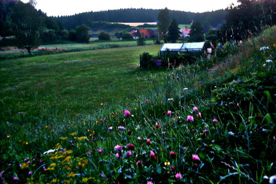 Zwielicht im Lauterachtal 1