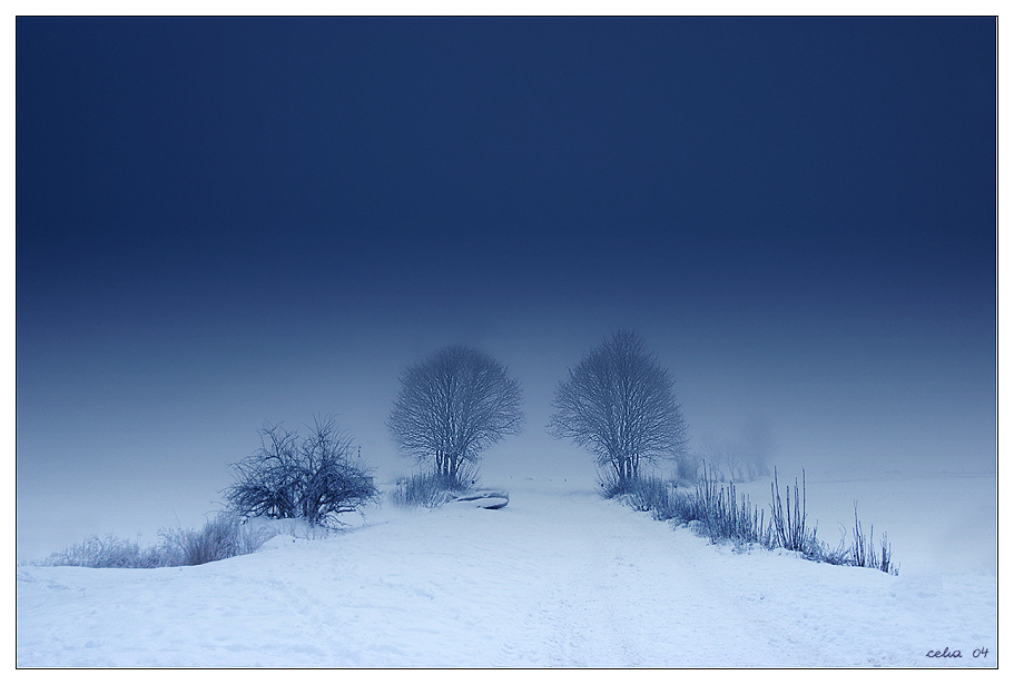 Zwillinge - ganz in Blau