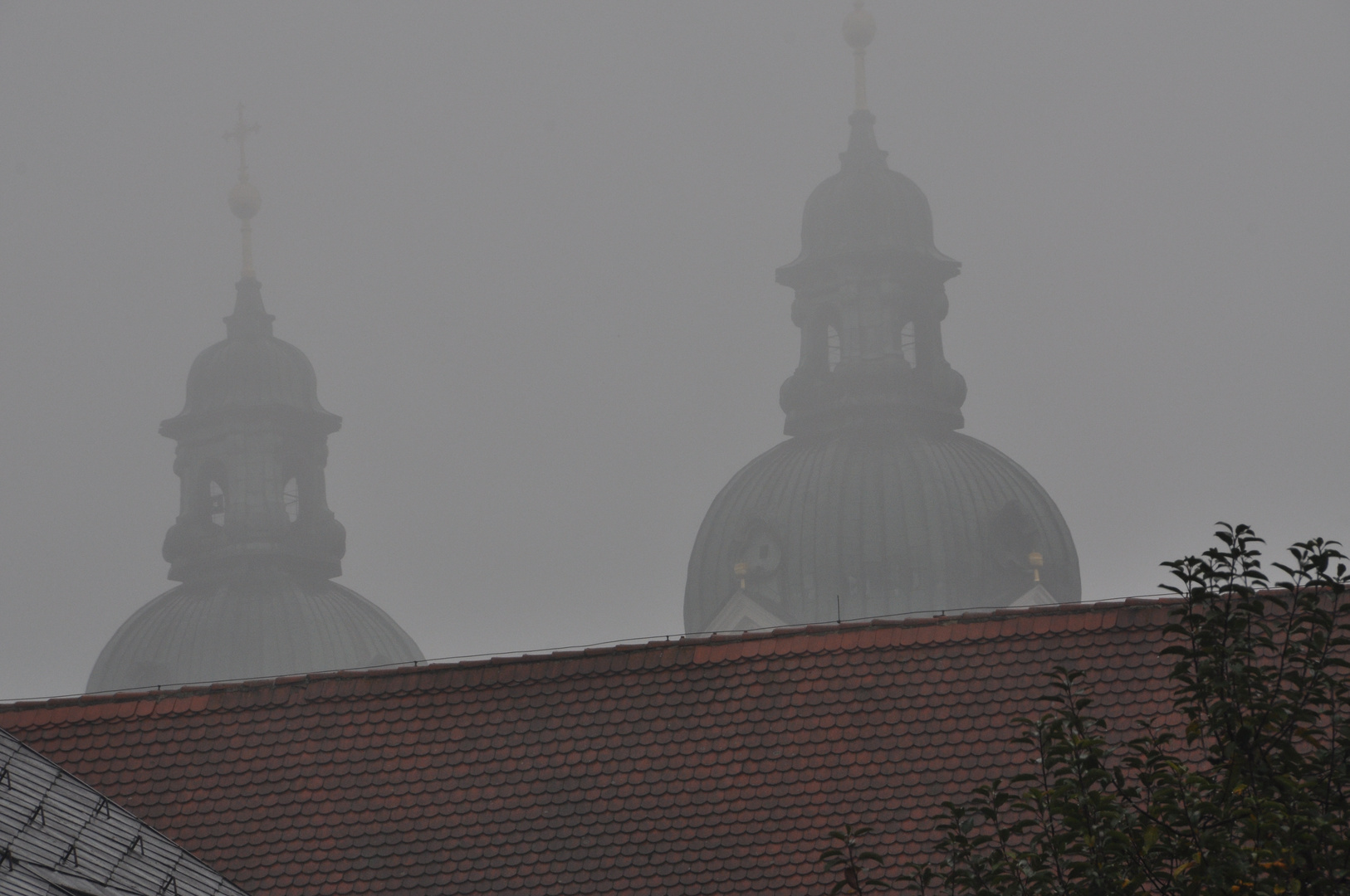 Zwillinge im Nebel