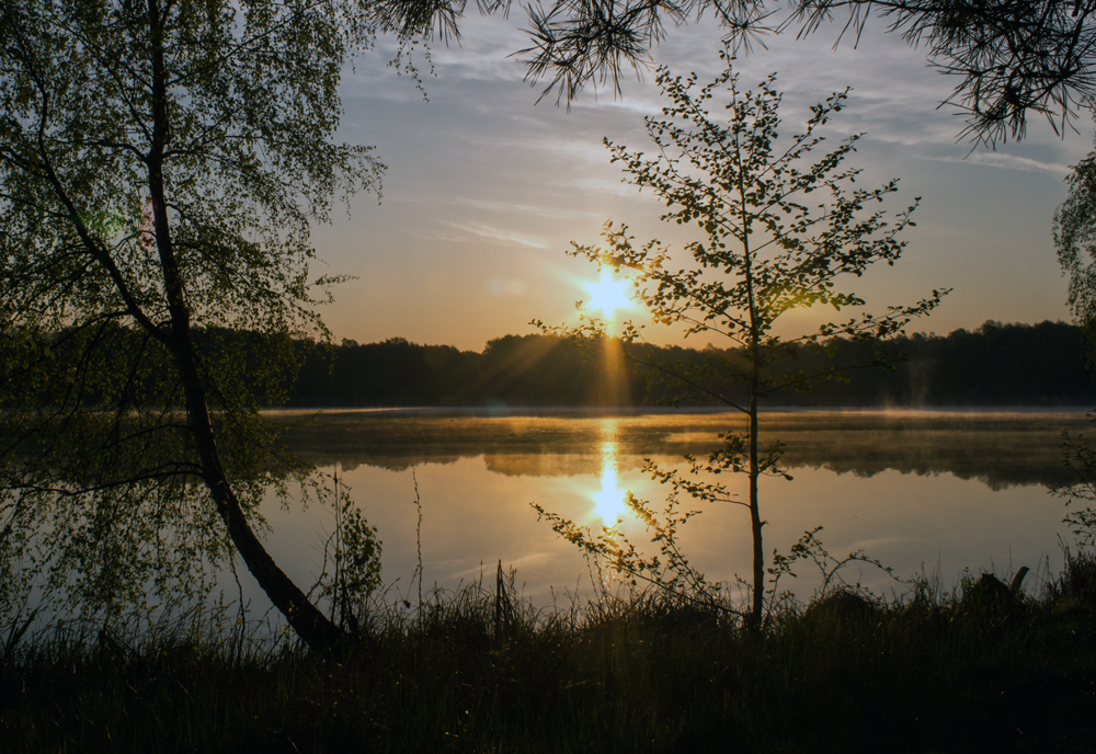 Zwillings-Sonne