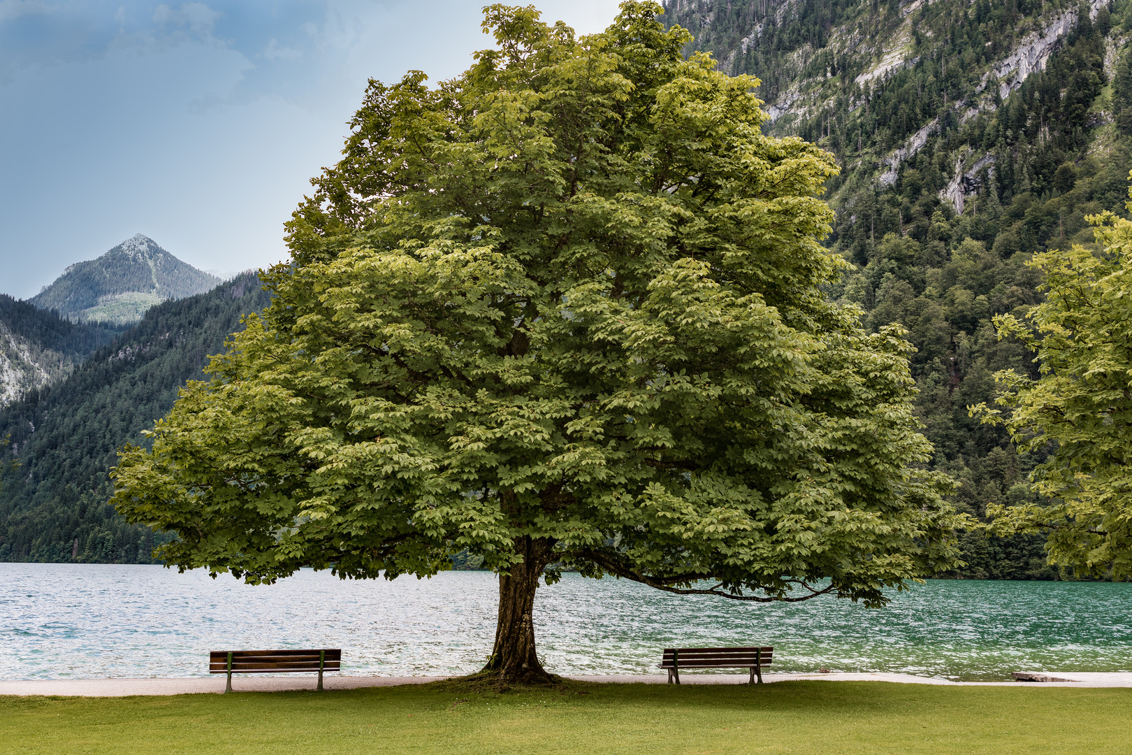 "Zwillingsbank" am Königssee