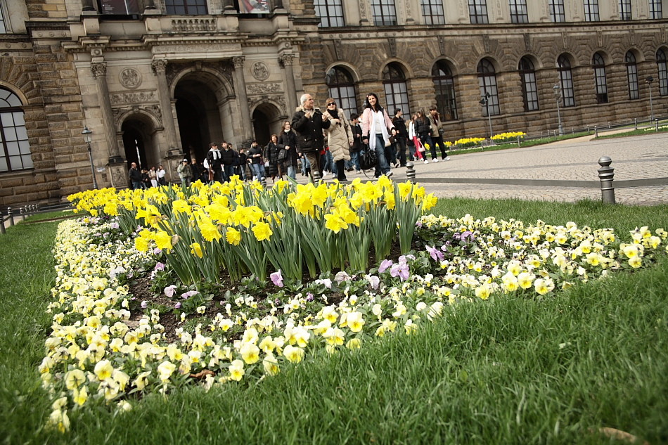 Zwinger