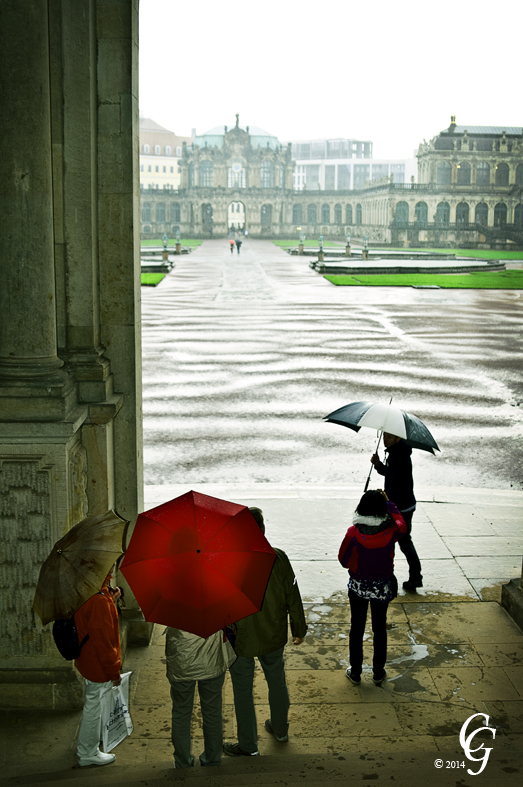 Zwinger im Regen 1