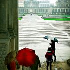 Zwinger im Regen 1