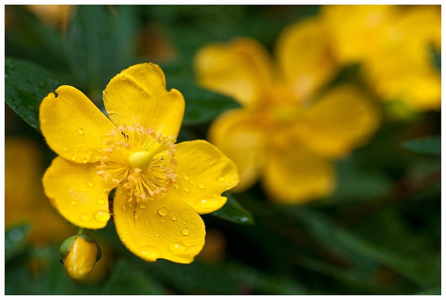 Zwischen 2 Regenschauern..