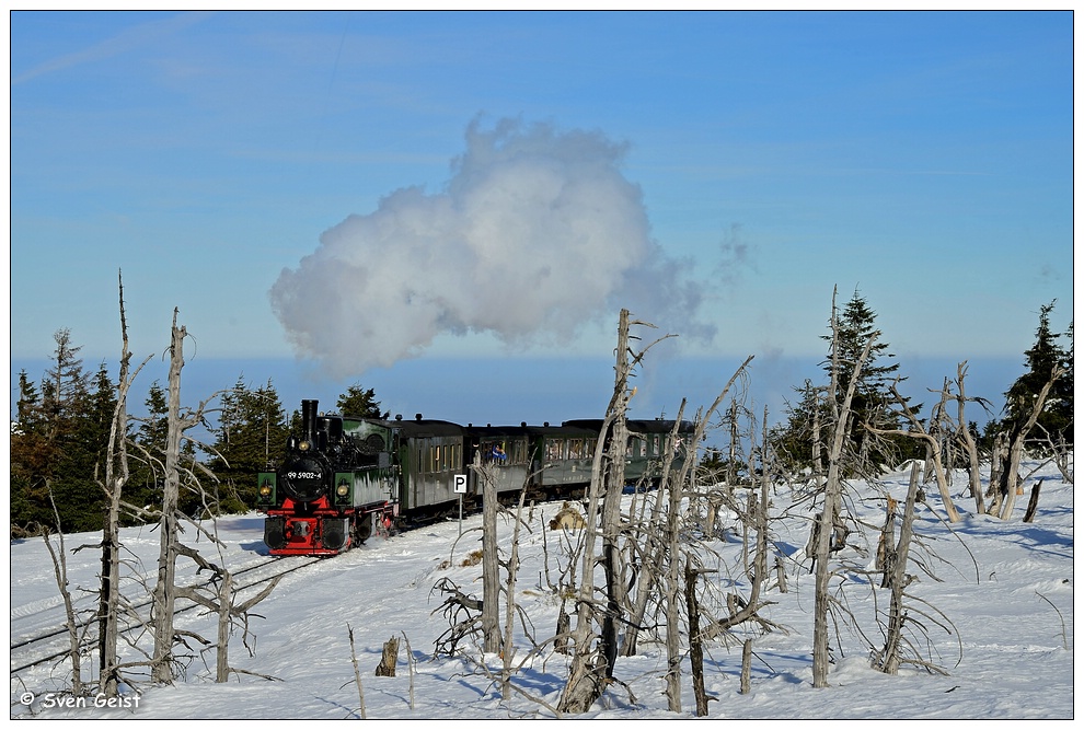 Zwischen abgestorbenem Geäst auf dem Weg zum Brocken