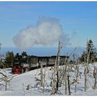 Zwischen abgestorbenem Geäst auf dem Weg zum Brocken